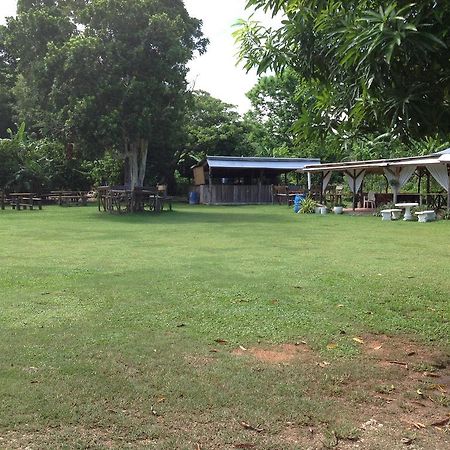 Chillax On Our Farm Konuk evi Ocho Rios Dış mekan fotoğraf