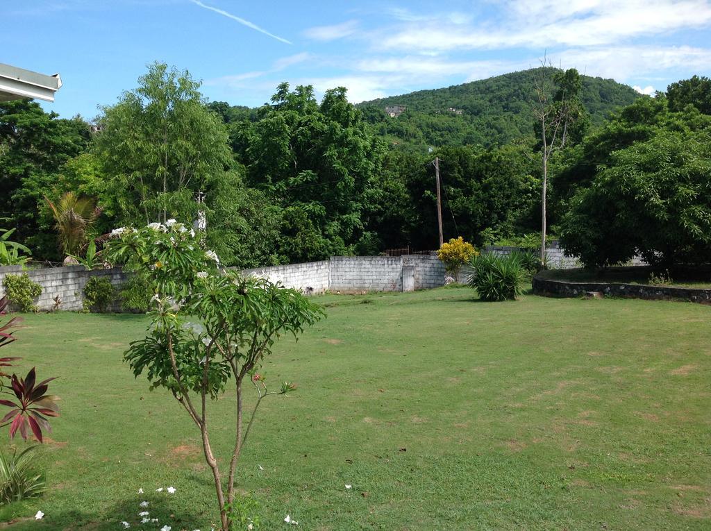 Chillax On Our Farm Konuk evi Ocho Rios Dış mekan fotoğraf
